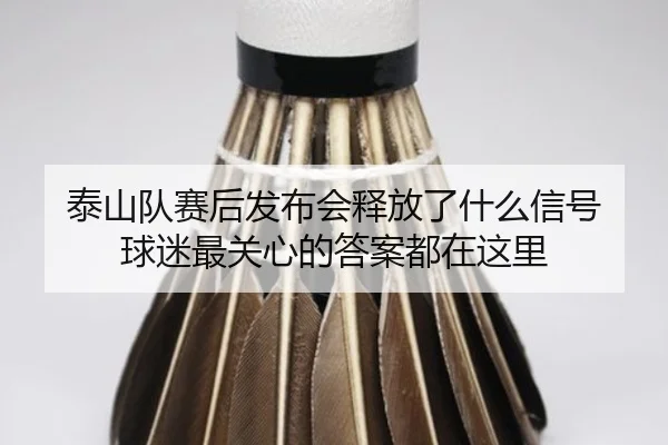 泰山队赛后发布会释放了什么信号 球迷最关心的答案都在这里